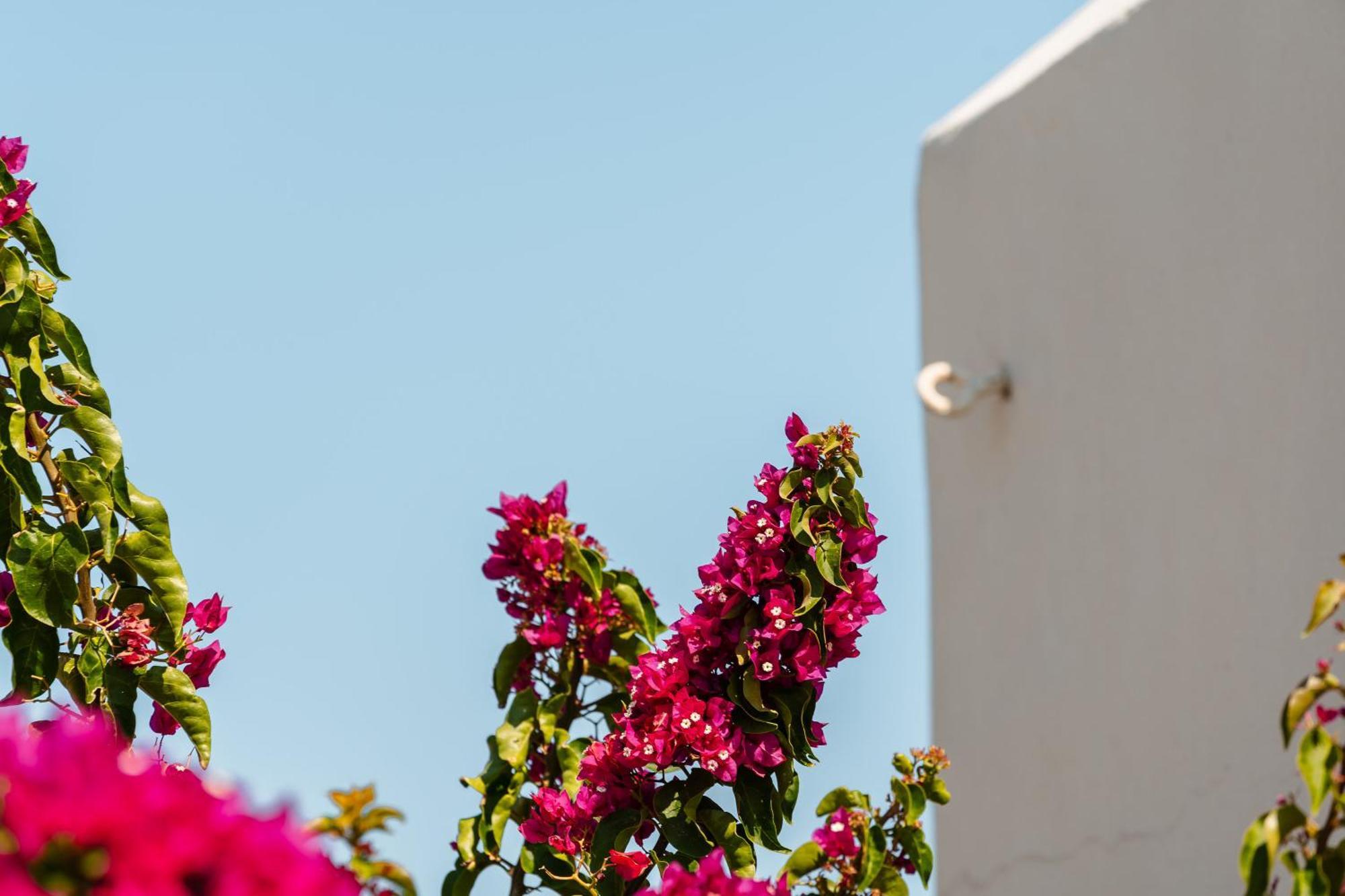 Rosabella Home Naxos City 외부 사진